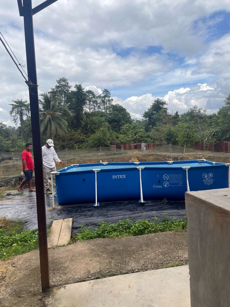 Pembersihan Kawasan Kolam untuk Projek Penternakan Ikan Keli